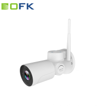 IP-Wireless-Mini-PTZ-Geschoss mit SD-CCTV-Kamera